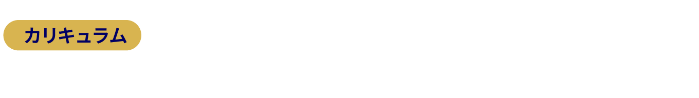 カリキュラム：毎月１回オンライン講義６ケ月間チャットサポート付